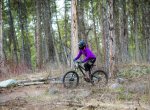 Many bike trails to explore in the Flathead Valley